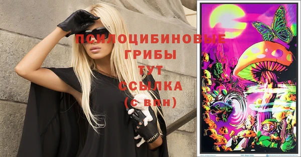 дмт Баксан