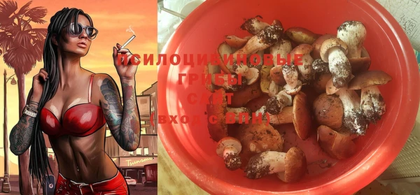 дмт Баксан