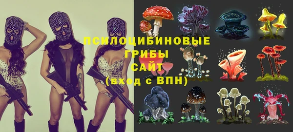 дмт Баксан